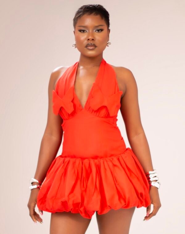 Wing Skirt